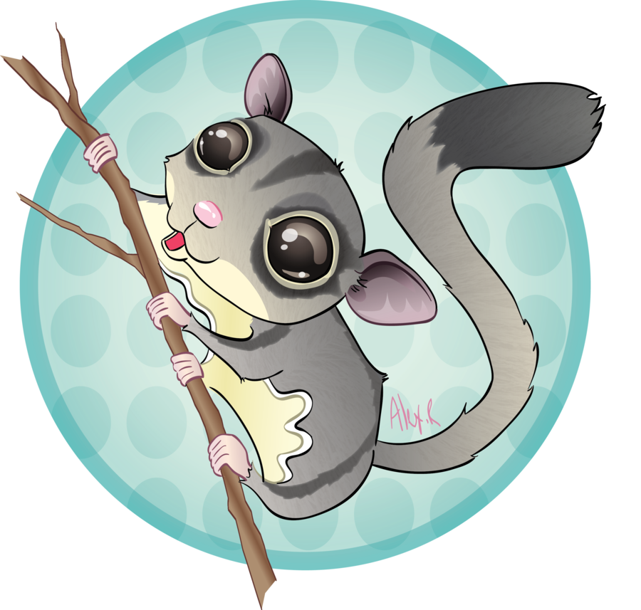 Sugar Glider Vector at GetDrawings | Free download