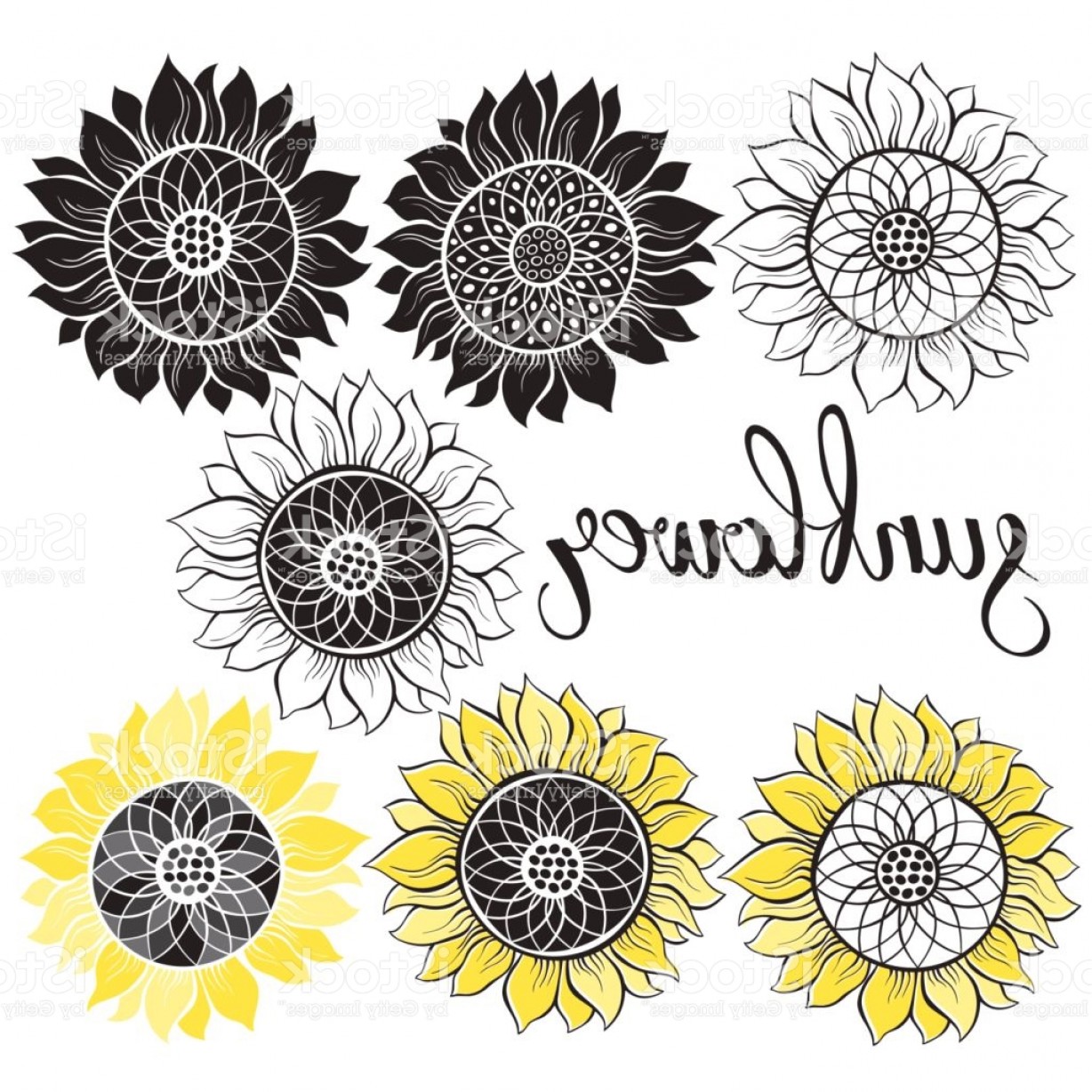 Download Sunflower Vector at GetDrawings | Free download