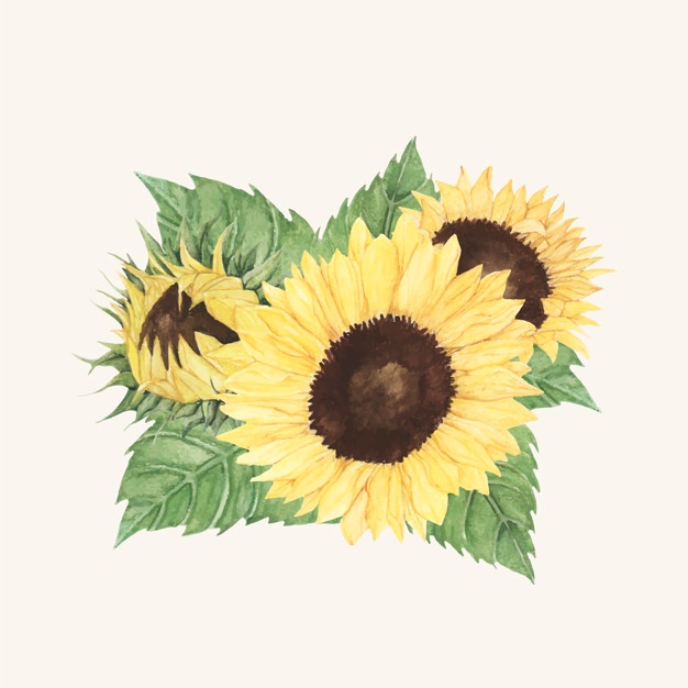 Download Sunflower Vector Free at GetDrawings | Free download