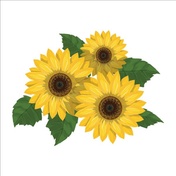 Sunflower Vector Free At Getdrawings Free Download