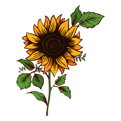 Download Sunflower Vector Free at GetDrawings | Free download