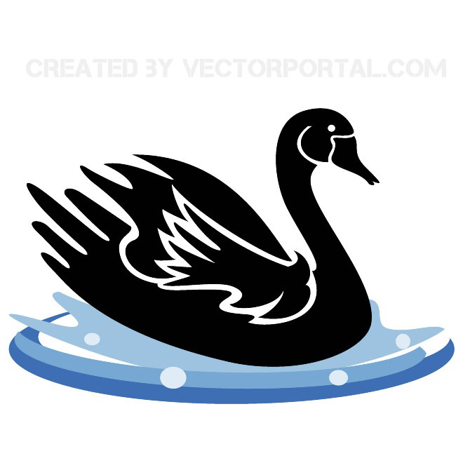 Swan Vector At Getdrawings Free Download