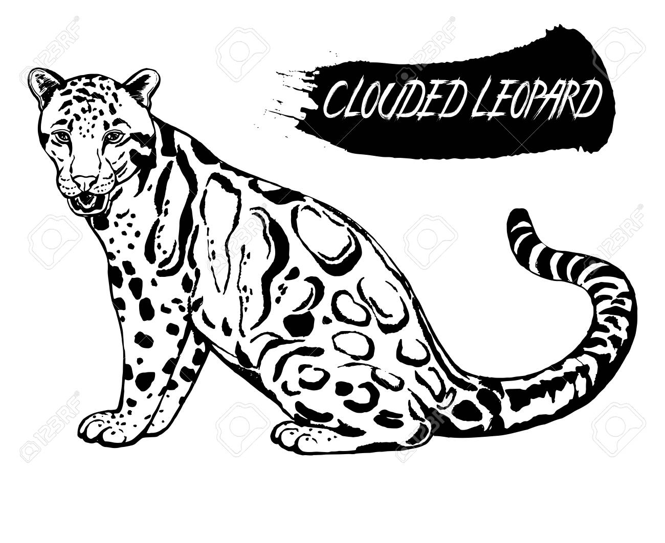 Дымчатый леопард карандашом эскиз
