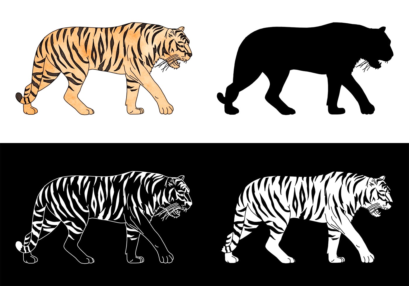 Tiger Vector Images at GetDrawings | Free download