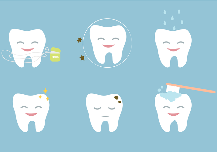 Tooth Vector Art at GetDrawings | Free download