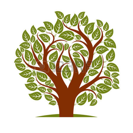 Tree Branch Vector Free At Getdrawings 