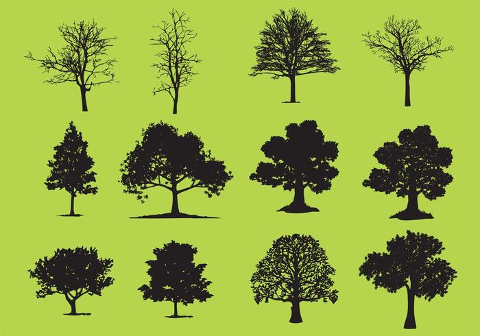Tree Plan Vector Free Download at GetDrawings | Free download