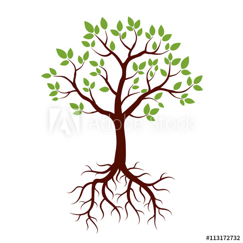 Tree Plan Vector Free Download at GetDrawings | Free download
