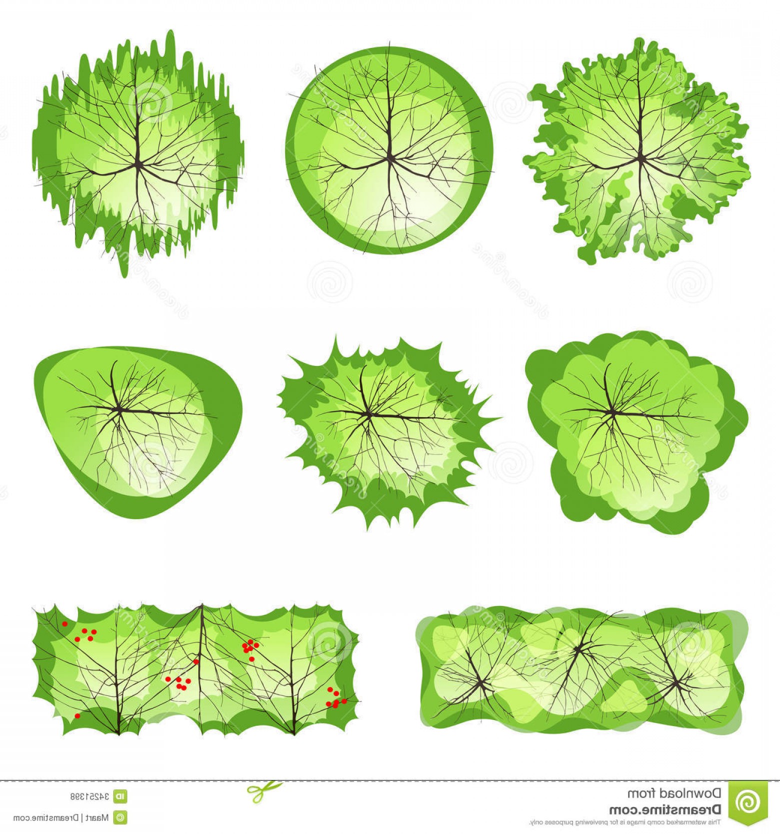 Tree Plan View Vector at GetDrawings | Free download