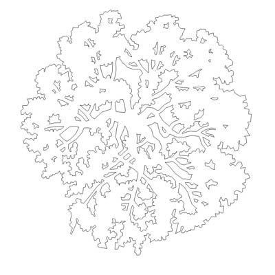 Tree Plan View Vector at GetDrawings | Free download