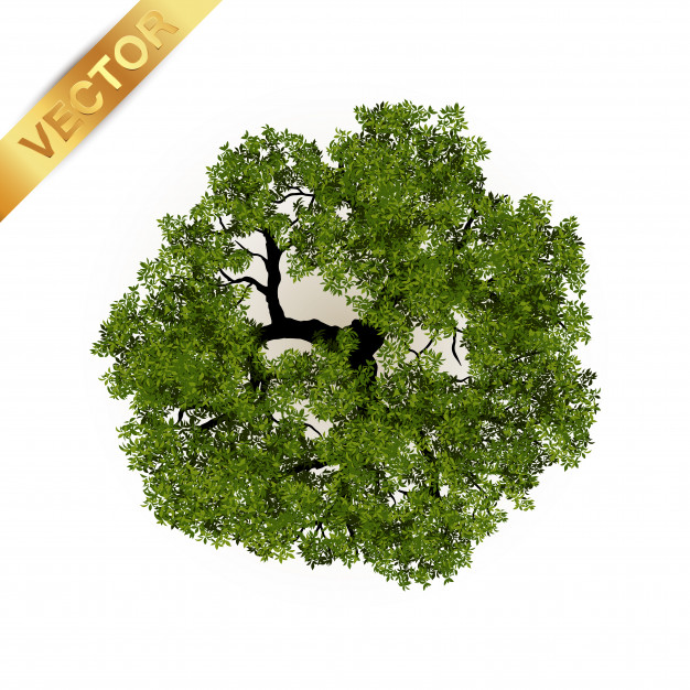 Tree Top Vector at GetDrawings | Free download