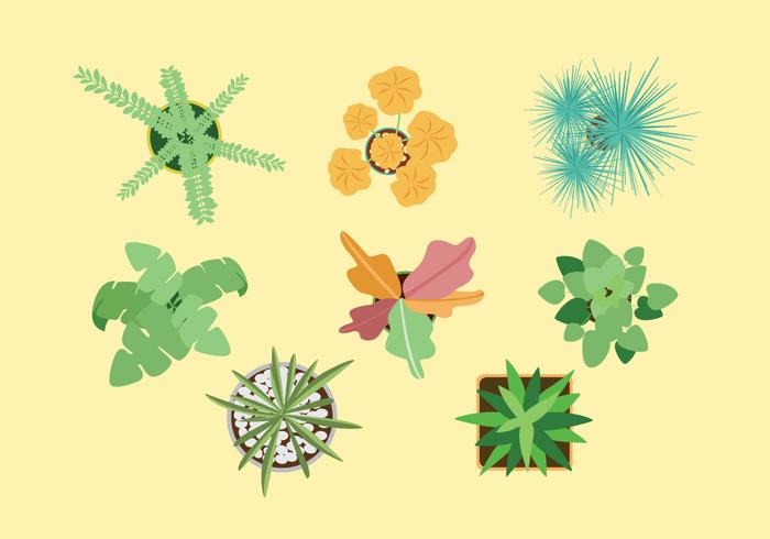 vector plants illustrator free download