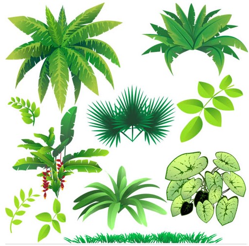 vector plants illustrator free download