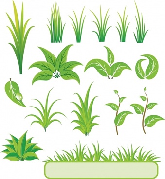 vector plants illustrator free download