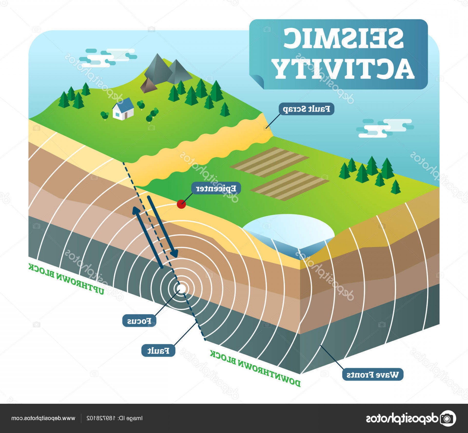 Vector Seismic At GetDrawings | Free Download