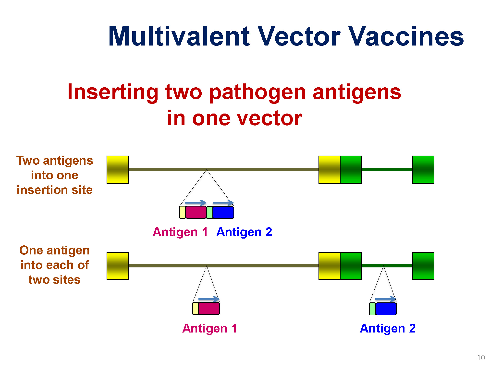 Vector Vaccine at GetDrawings | Free download