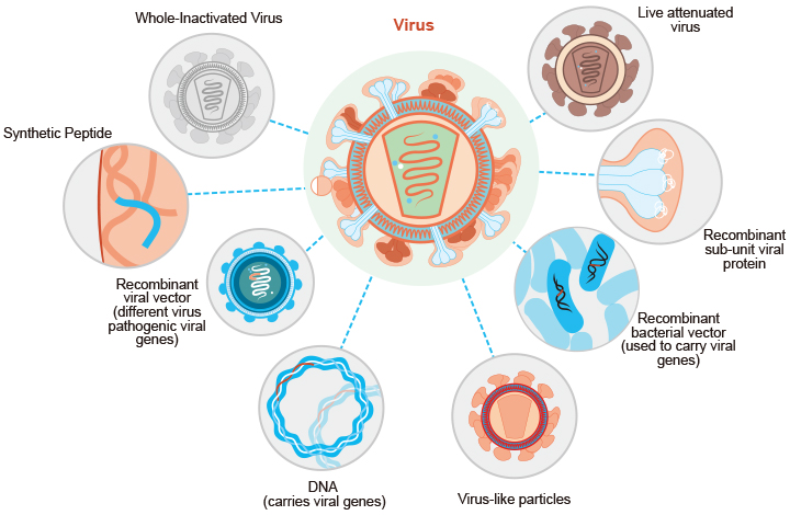 Vector Vaccine at GetDrawings | Free download