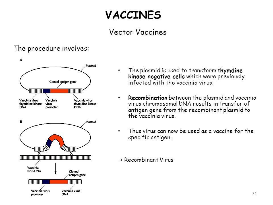 Vector Vaccine at GetDrawings | Free download