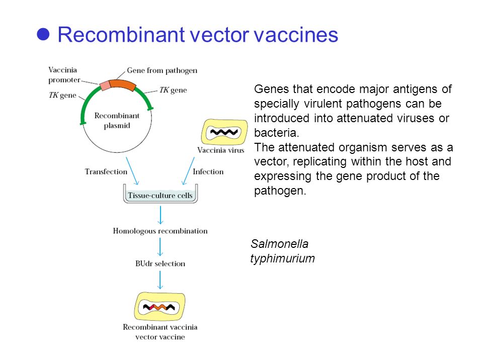 Vector Vaccine at GetDrawings | Free download