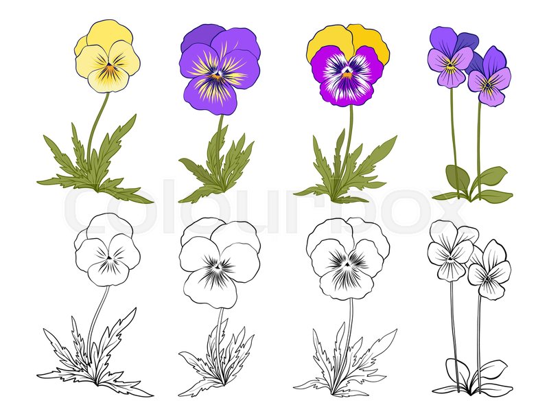 The best free Violet vector images. Download from 111 free vectors of