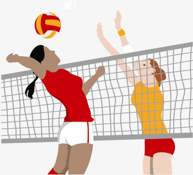 The best free Volleyball vector images. Download from 419 ...