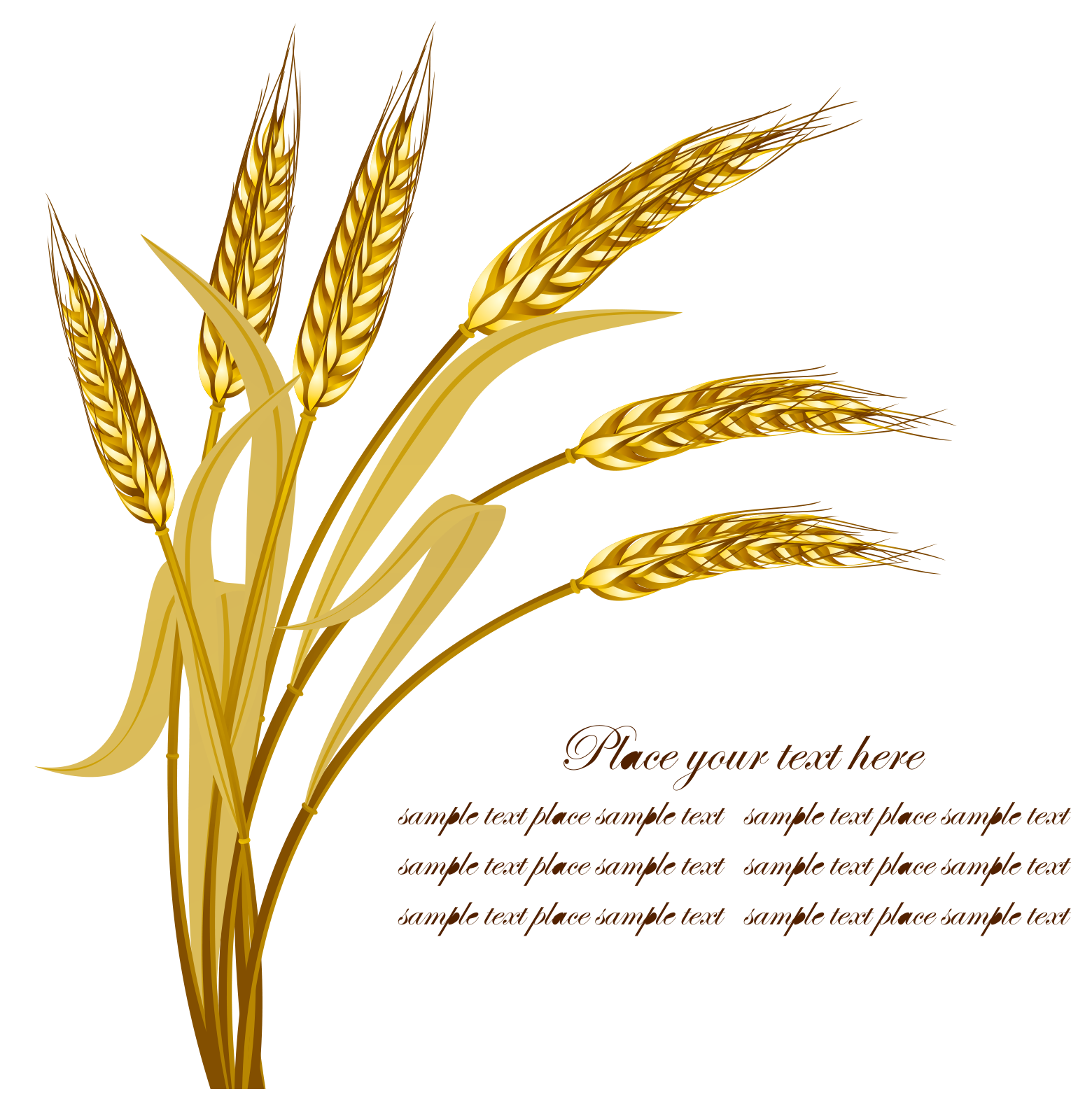Wheat Vector Png at GetDrawings | Free download