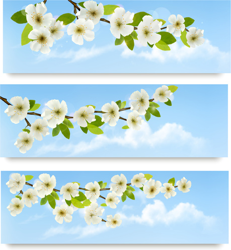 White Flower Vector at GetDrawings | Free download