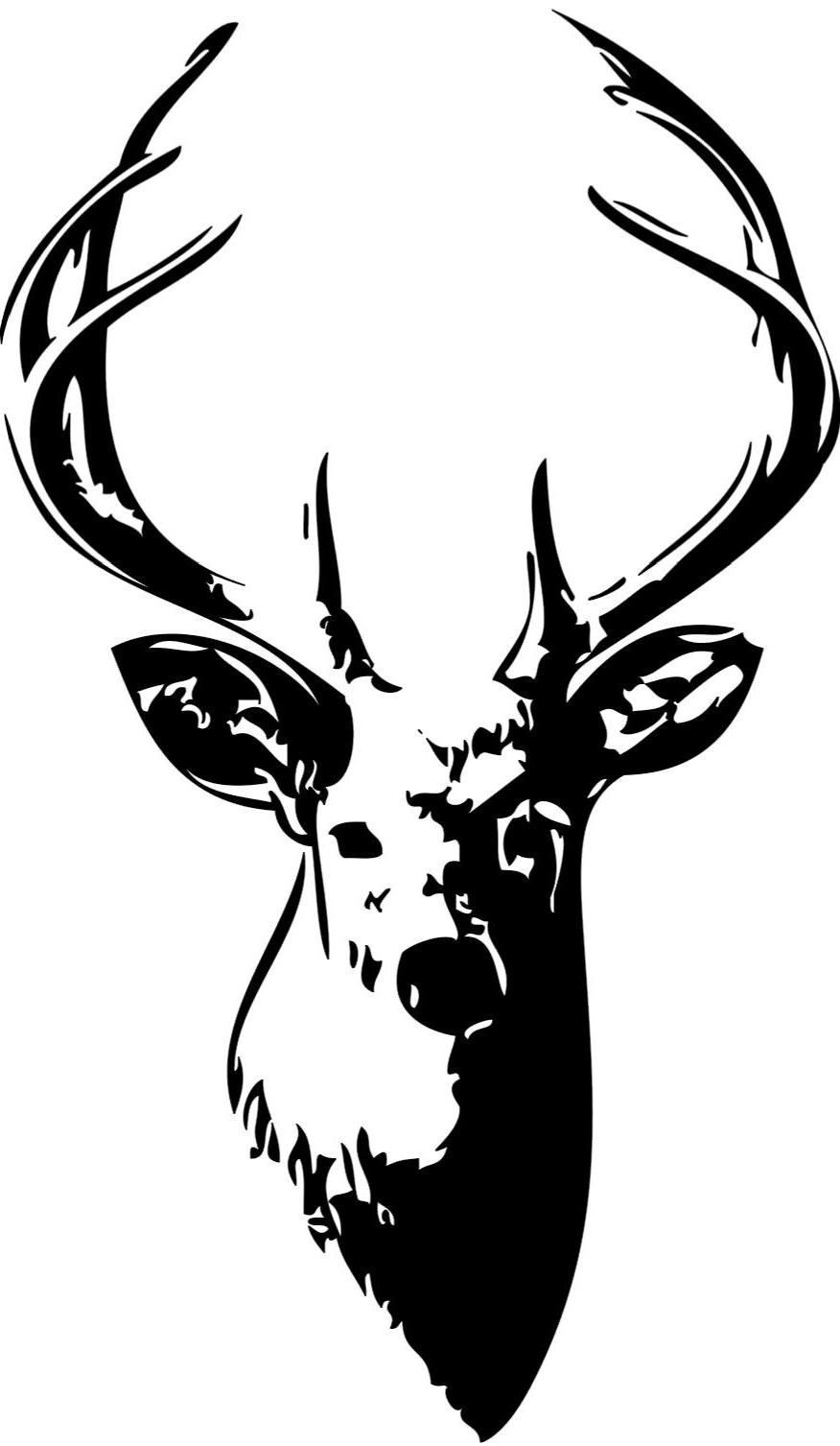 Whitetail Deer Vector At GetDrawings | Free Download