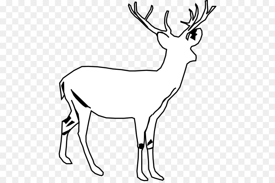 Whitetail Deer Vector At GetDrawings | Free Download