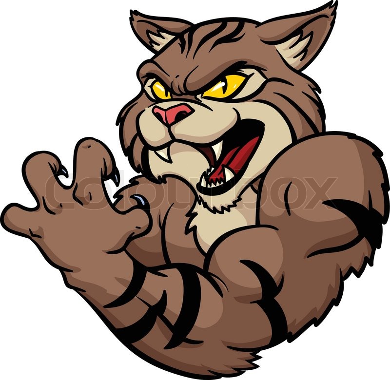 Wildcat Vector at GetDrawings | Free download