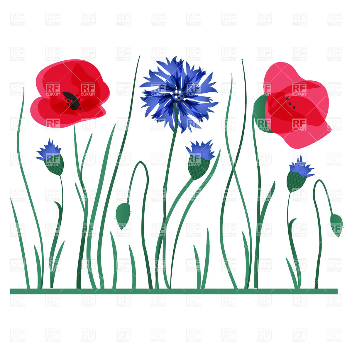 Wildflower Vector at GetDrawings | Free download