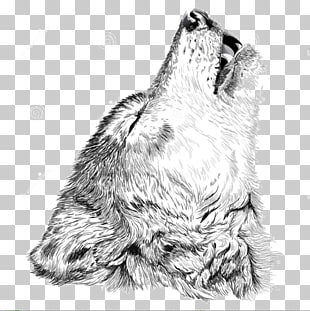 Download Png Wolf | PNG & GIF BASE