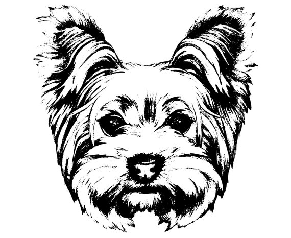 The best free Terrier vector images. Download from 179 free vectors of