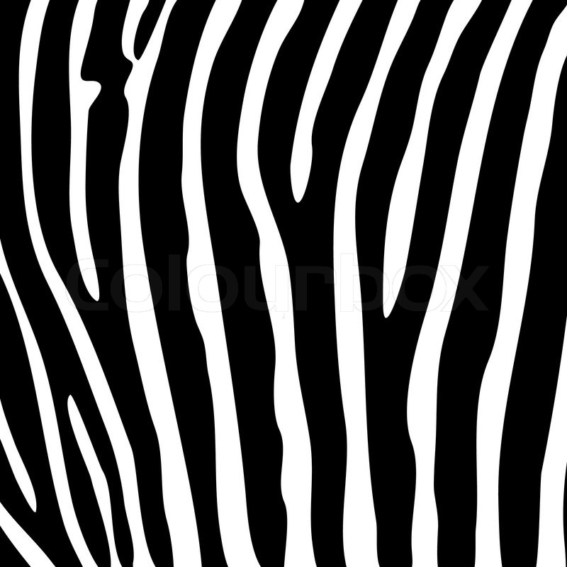 Zebra Pattern Vector at GetDrawings | Free download