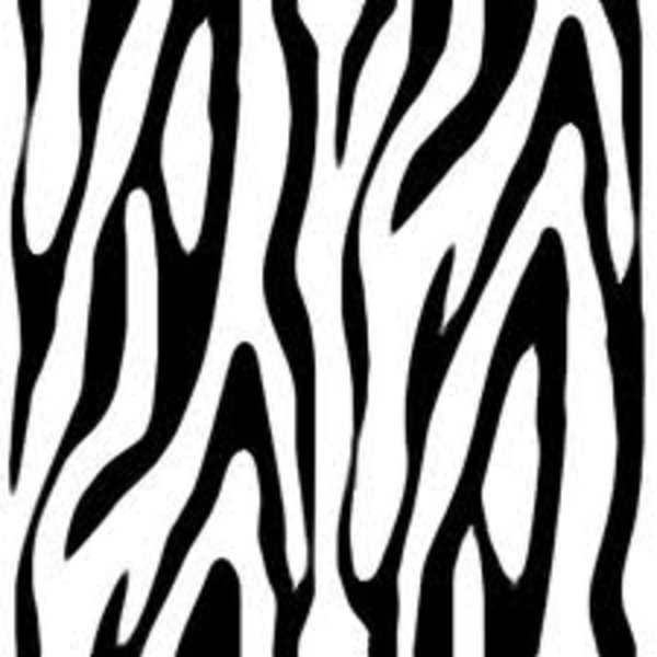 Zebra Print Vector At Getdrawings Free Download 1495