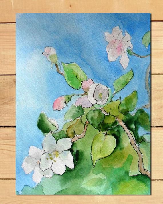 Apple Blossom Watercolor At Getdrawings Free Download