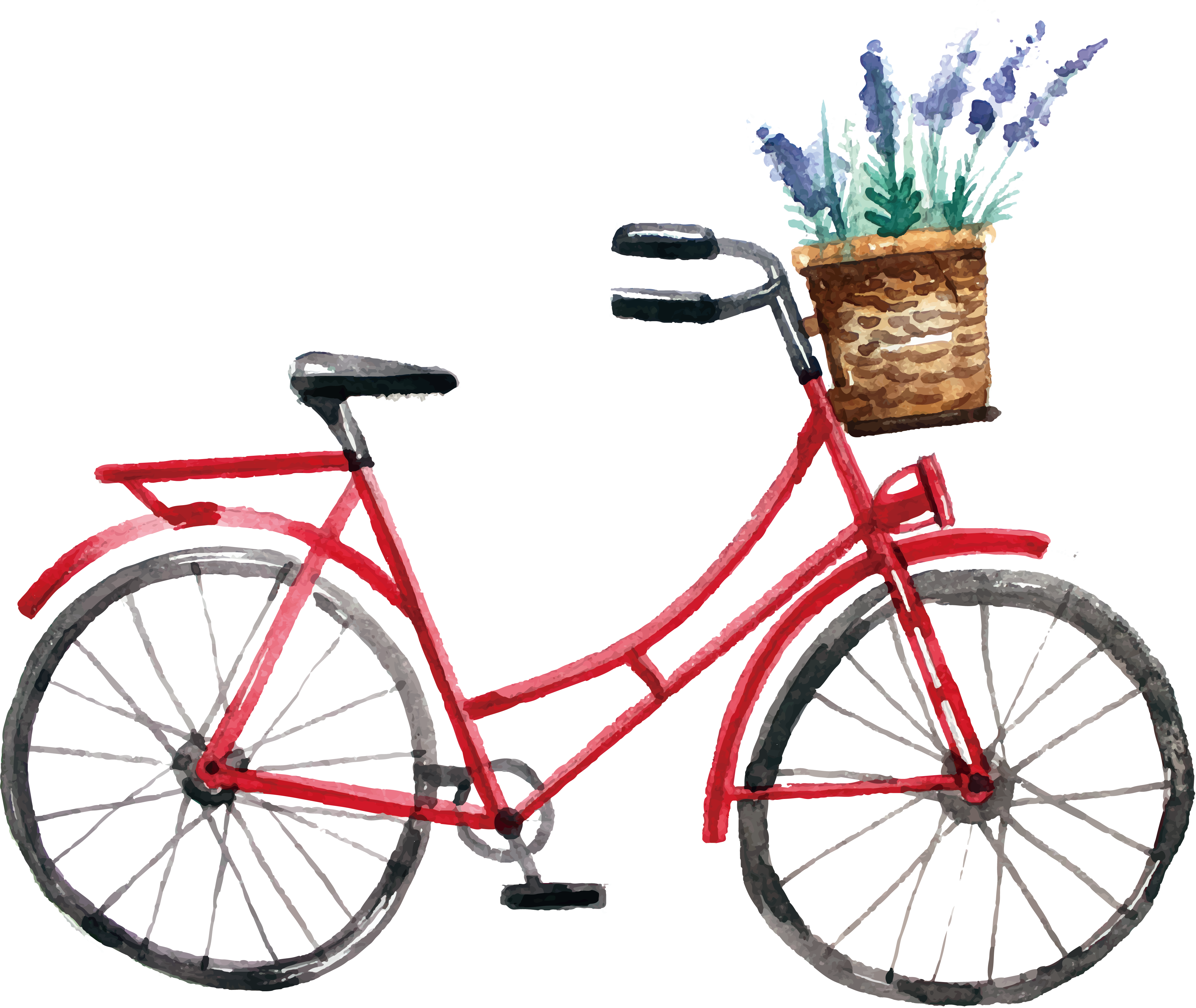 watercolor bike rentals