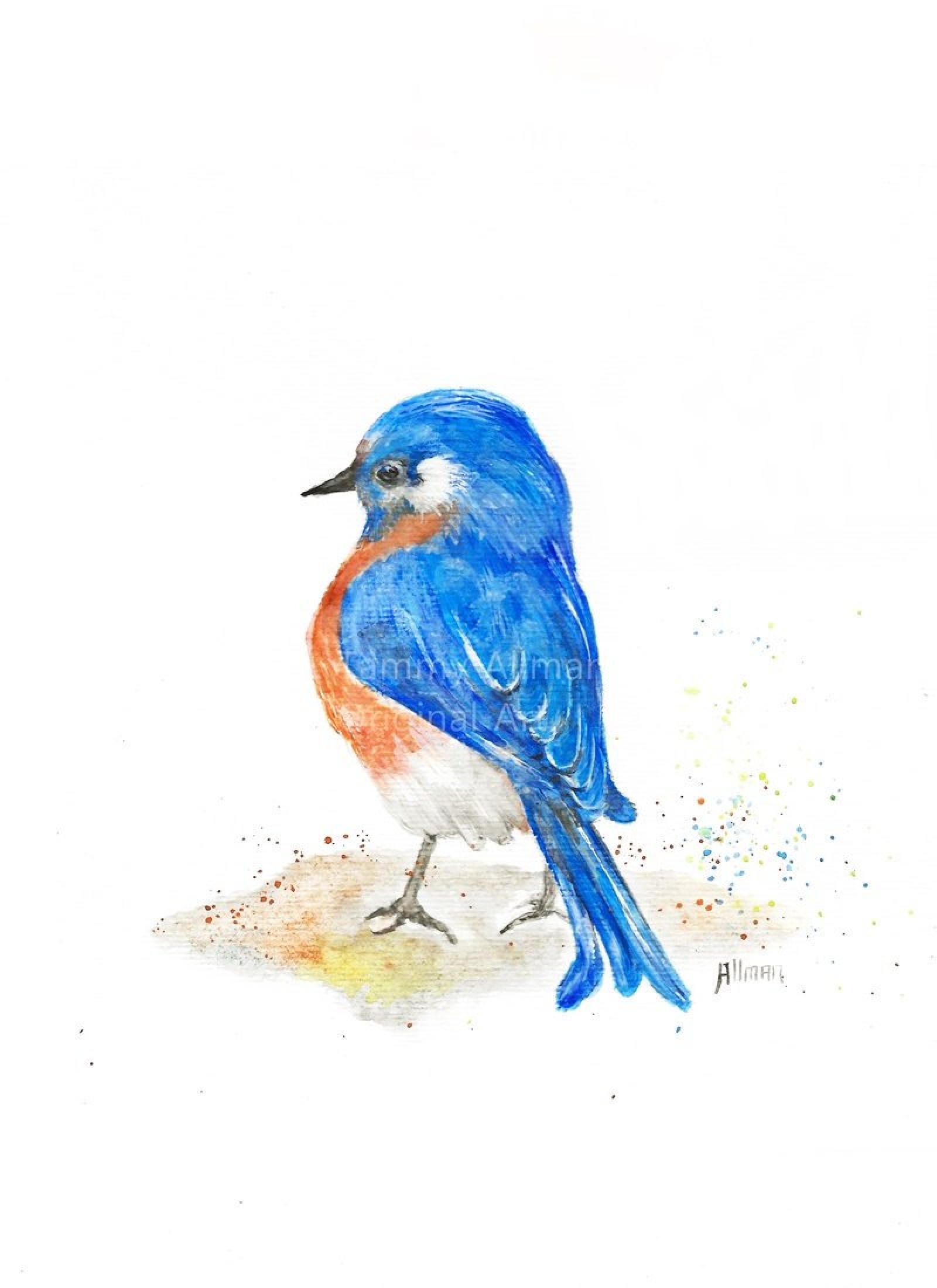 Bluebird Watercolor At GetDrawings | Free Download