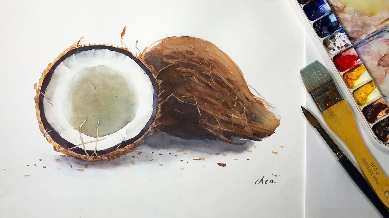 Coconut Water Color at GetDrawings Free download