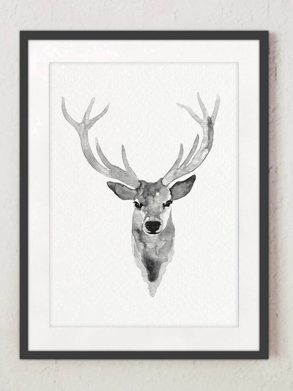 Deer Head Watercolor At Getdrawings 