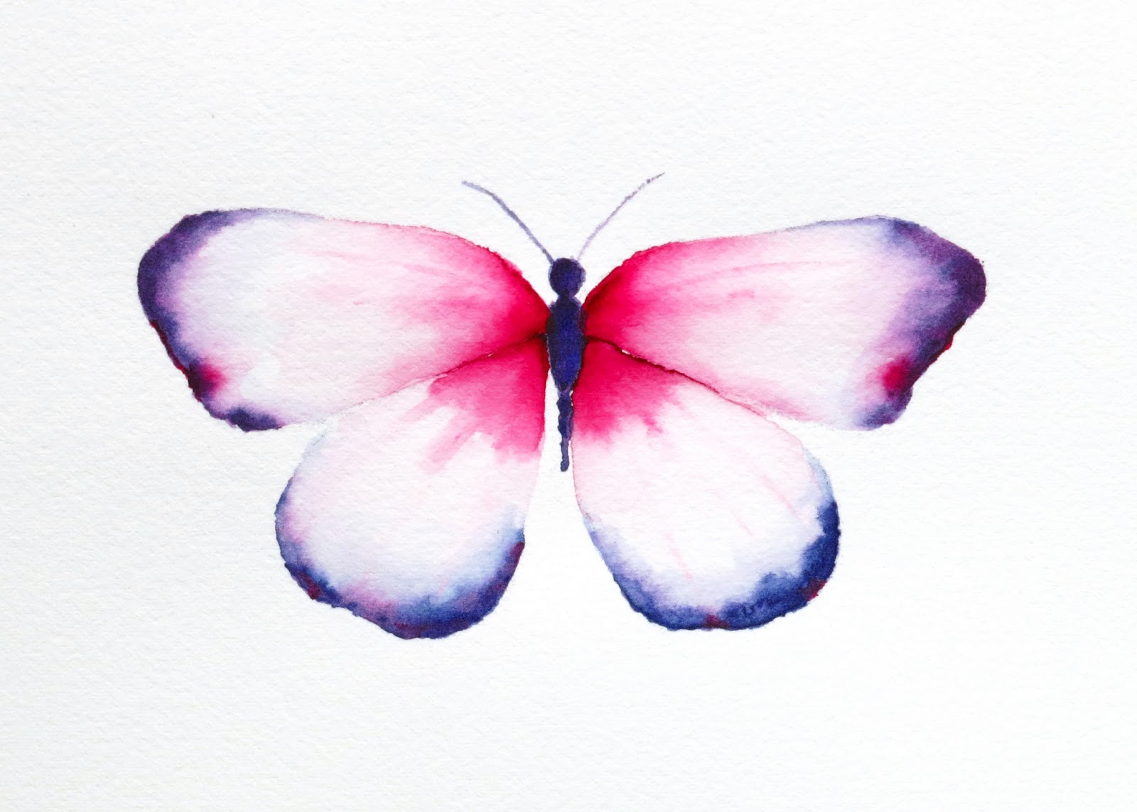 Акварельные бабочки на белом фоне
