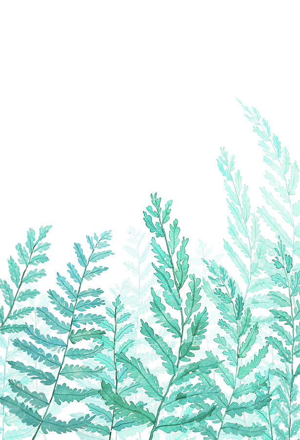 The Best Free Fern Watercolor Images Download From Free Watercolors Of Fern At GetDrawings