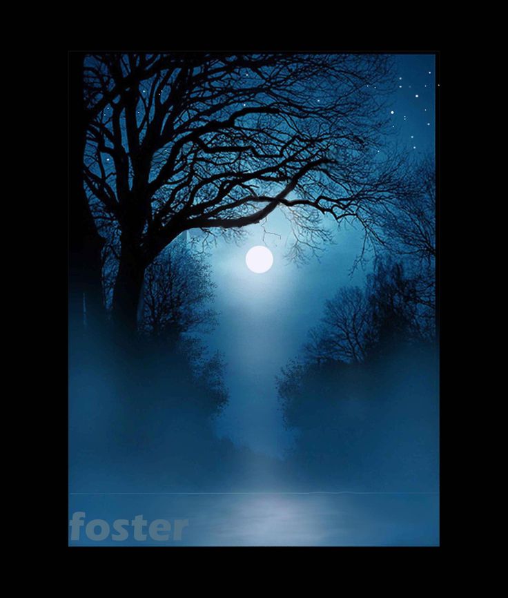 moonlight easy night scenery drawing painting