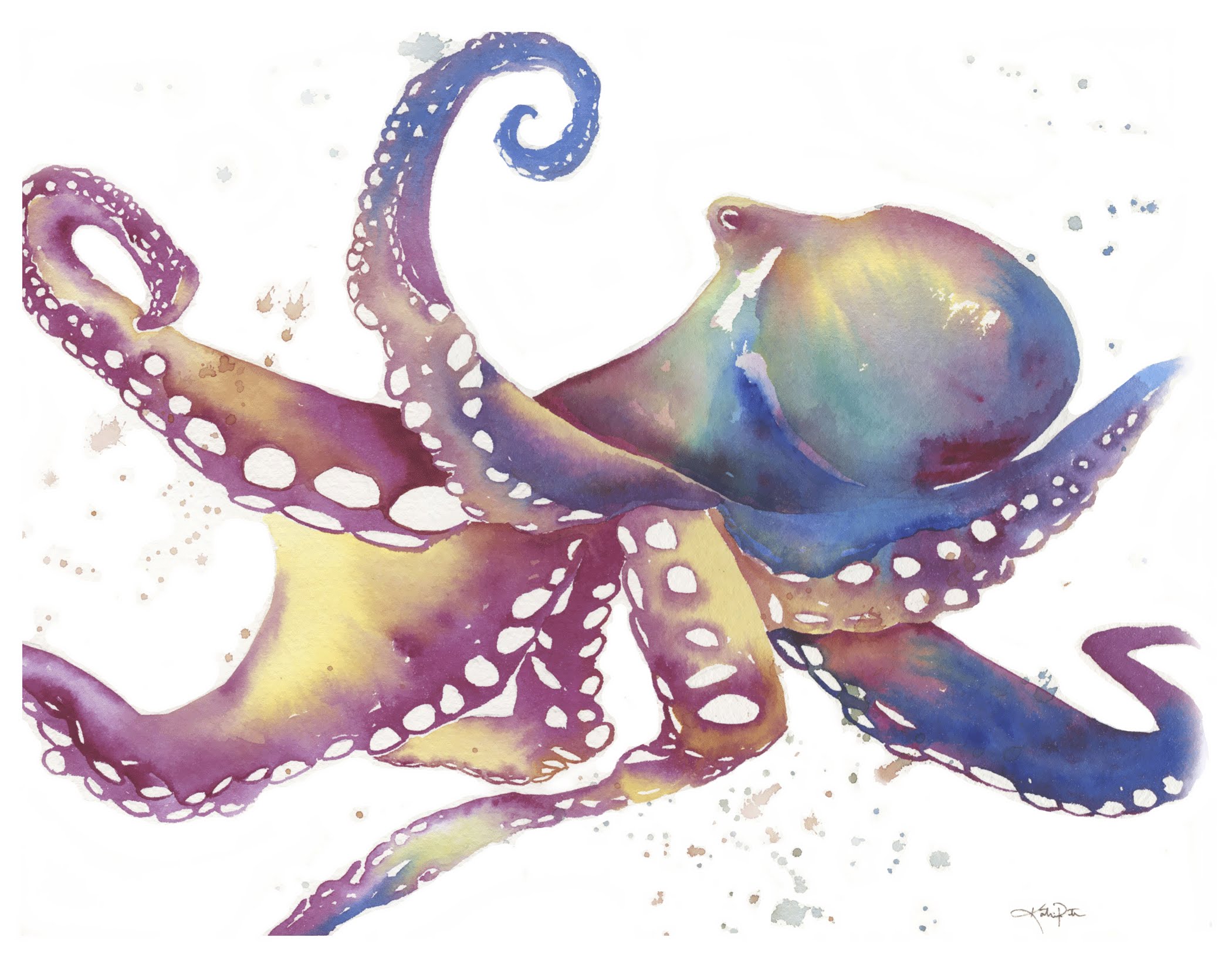 Octopus Watercolor Painting At GetDrawings | Free Download