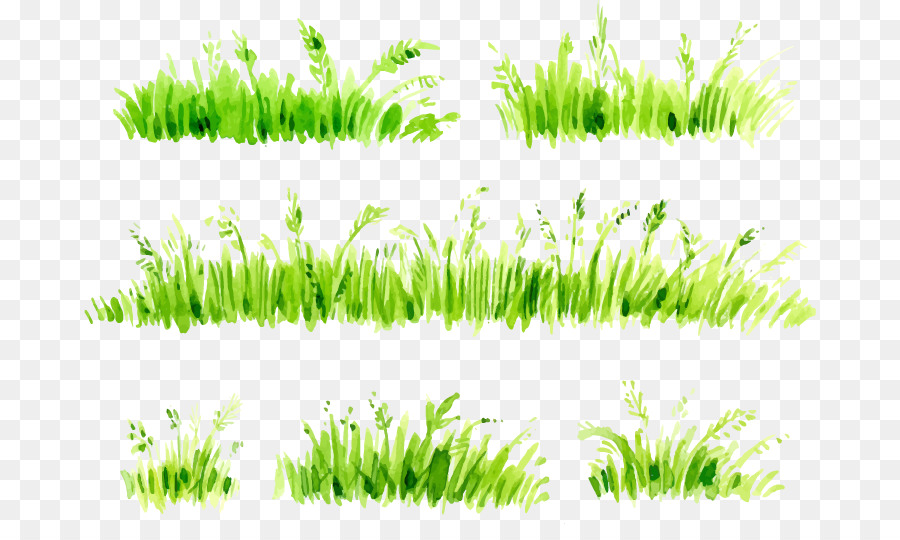 painting-grass-in-watercolor-at-getdrawings-free-download