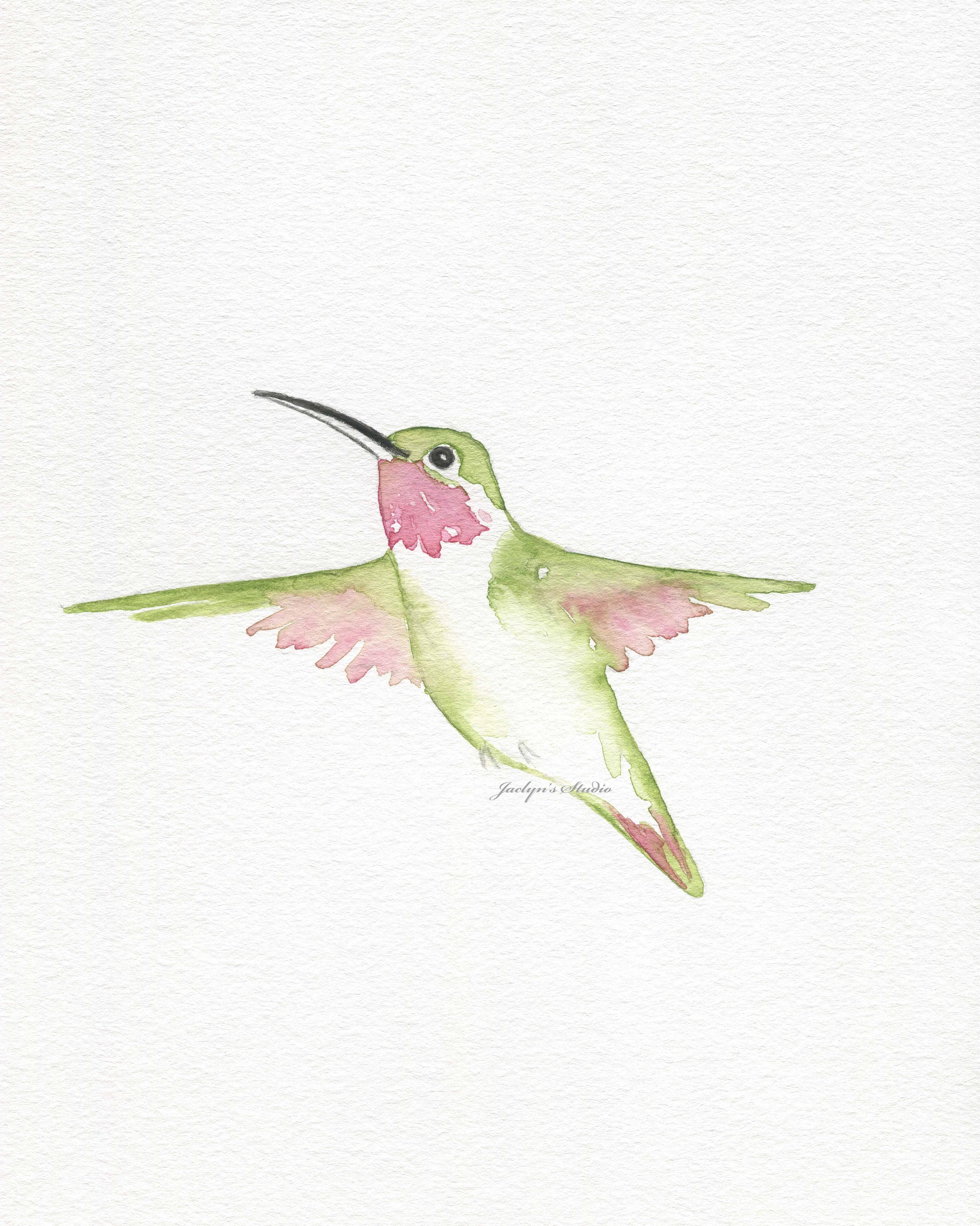 Ruby Throated Hummingbird Watercolor At Getdrawings Free Download 3605