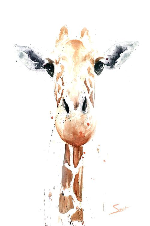 Simple Watercolor Animals at GetDrawings | Free download