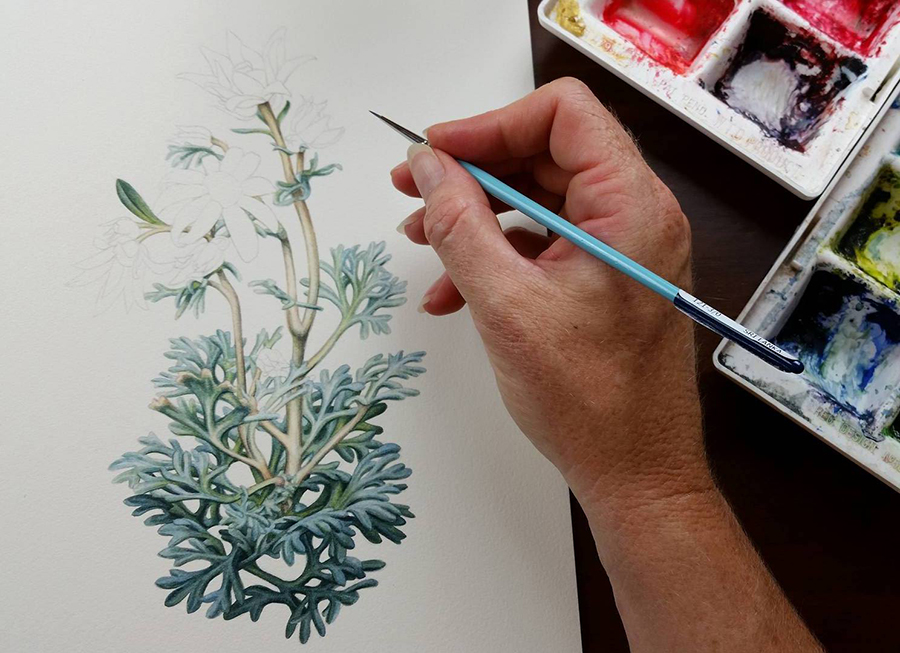 How to mount a watercolor painting on board, a step by step tutorial