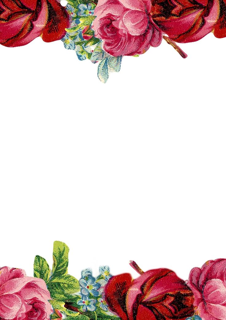 watercolor-floral-border-paper-printable-at-getdrawings-free-download