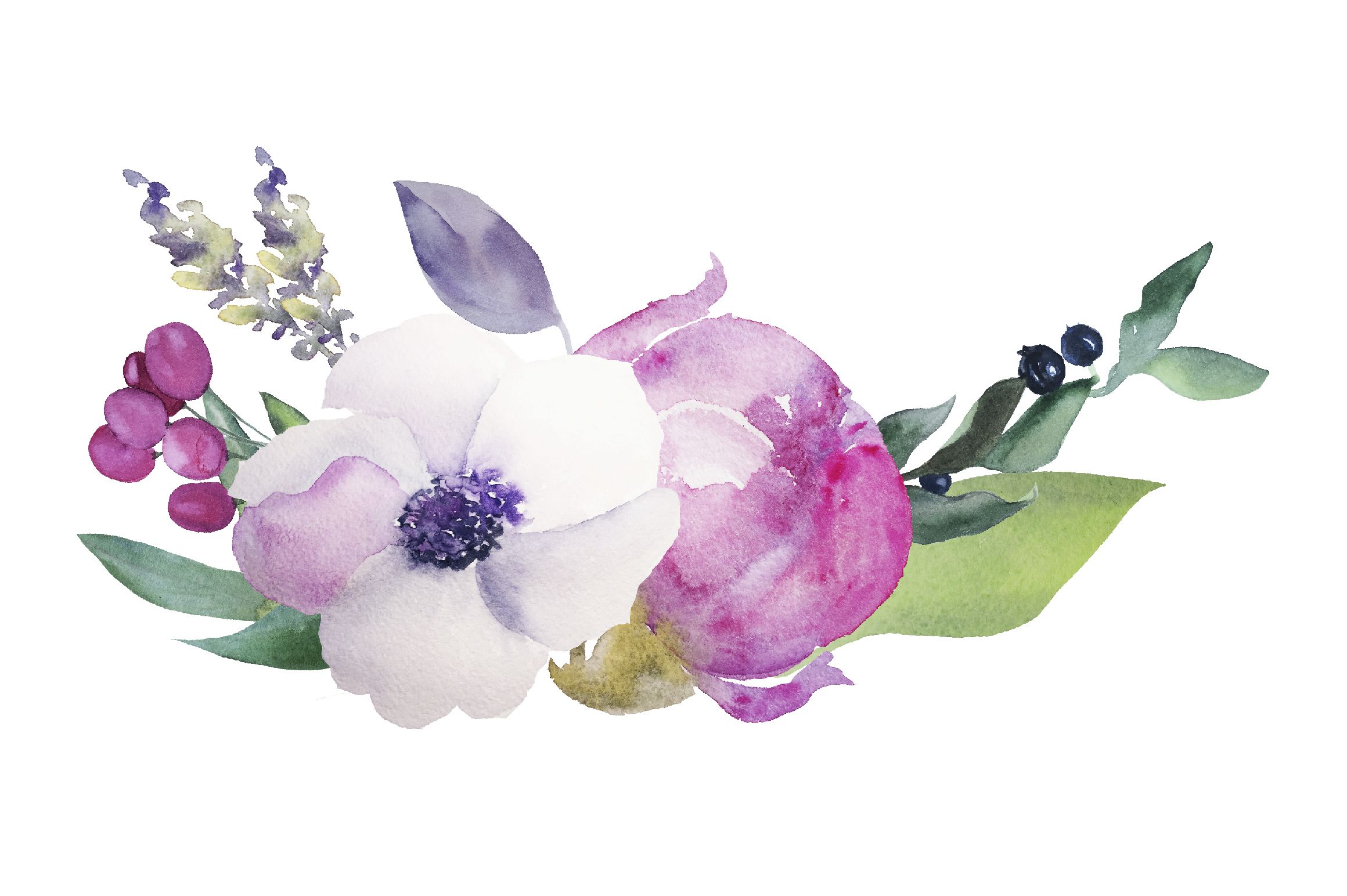 11+ Transparent Background Watercolor Flower Png Gif